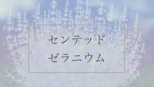 センテッド・ゼラニウム