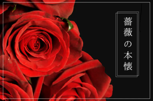 薔薇の本懐