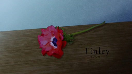 フィンリー