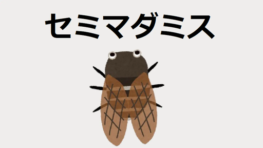 セミマダミス