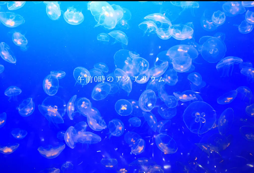 午前0時のアクアリウム