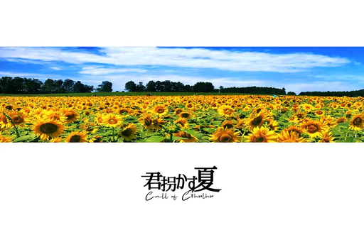 君拐かす夏