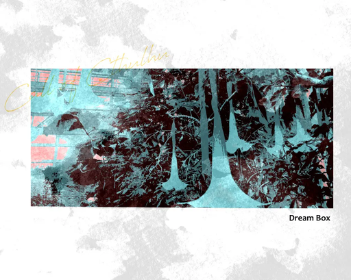 Dream Box