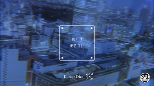 夜しか愛せない