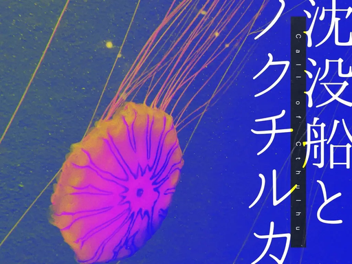 沈没船とノクチルカ