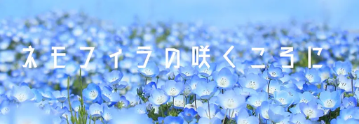 ネモフィラの咲くころに