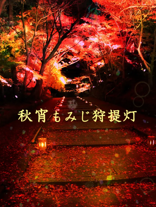 秋宵もみじ狩提灯