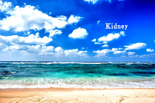 Kidney