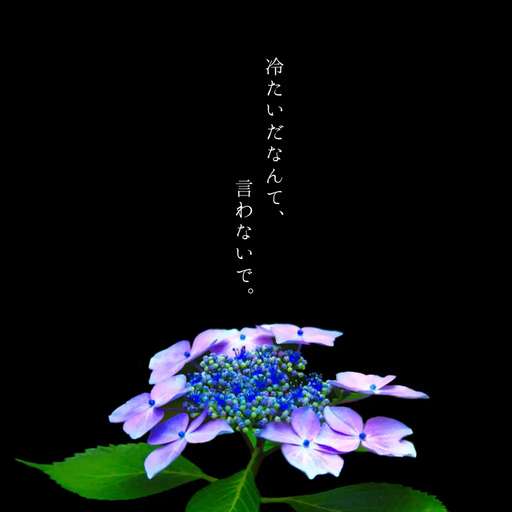 冷たいだなんて、言わないで。