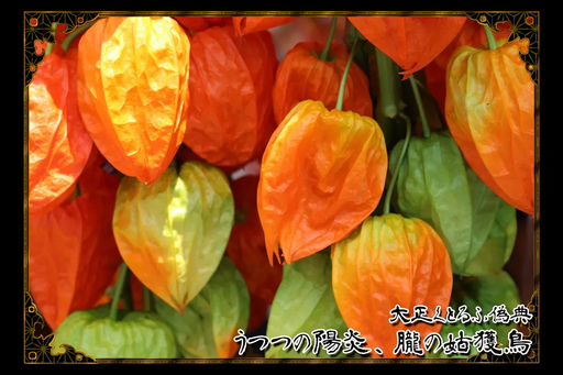 うつつの陽炎、朧の姑獲鳥